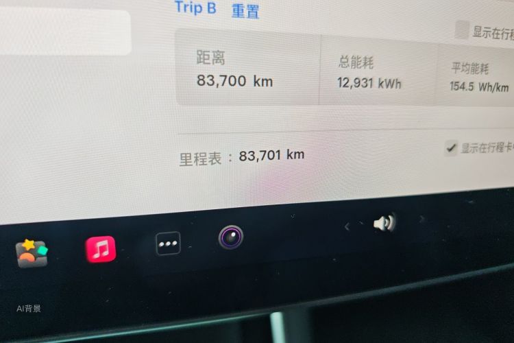 Tesla Model 3 2020 car image #14