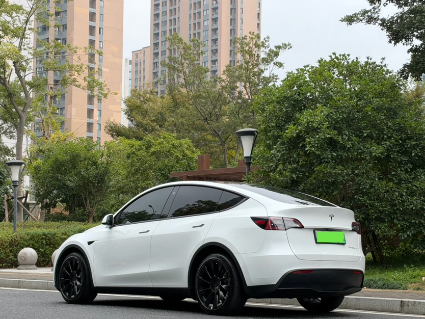 Tesla Model Y 2021 #8 Tesla Model Y 2021 car image #8