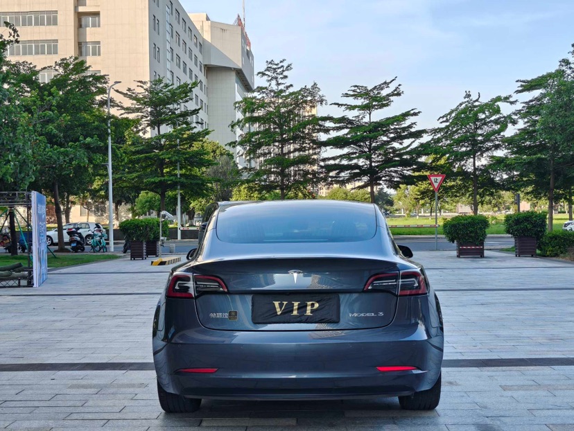 Tesla Model 3 2020 #7 Tesla Model 3 2020 car image #7