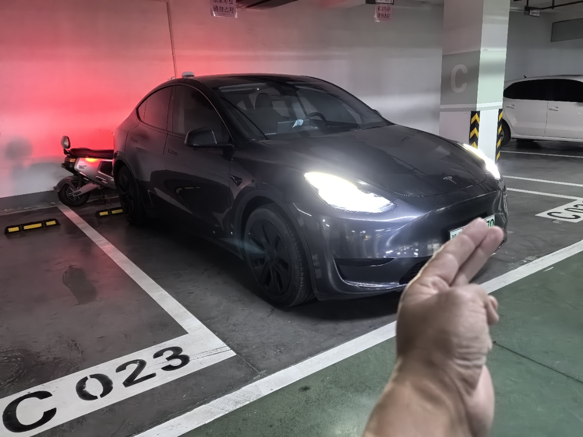 Tesla Model Y 2024 #3 Tesla Model Y 2024 car image #3