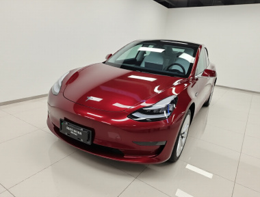 Tesla Model 3 2020 Tesla Model 3 2020 car image