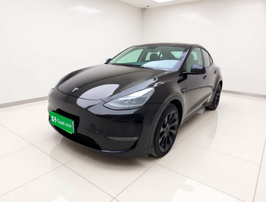 Tesla Model Y 2021 Tesla Model Y 2021 car image