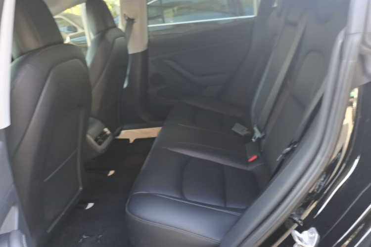 Tesla Model 3 2022 #17 Tesla Model 3 2022 car image #17