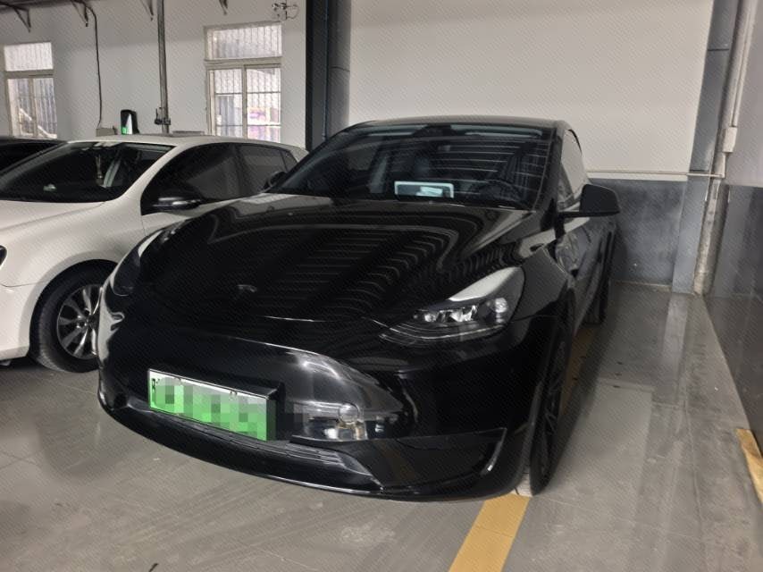 Tesla Model Y 2024 car image 