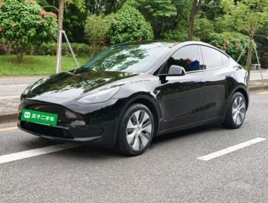Tesla Model Y 2022 car image 