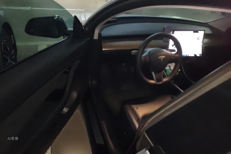 Tesla Model 3 2020 immagine di auto #18