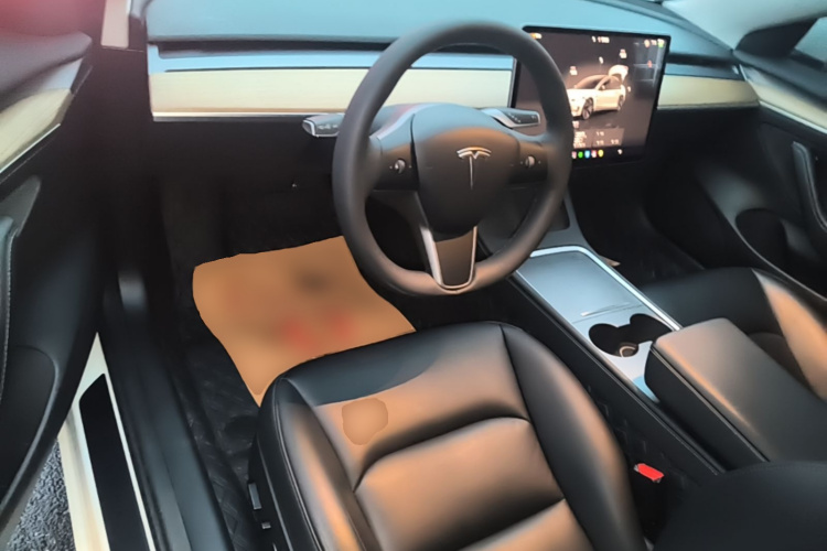 Tesla Model 3 2023 car image #11