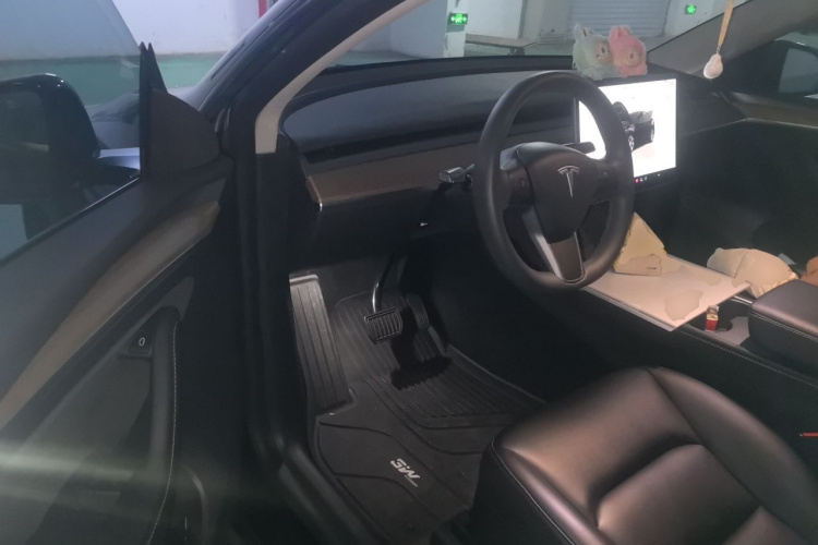 Tesla Model Y 2022 car image #9