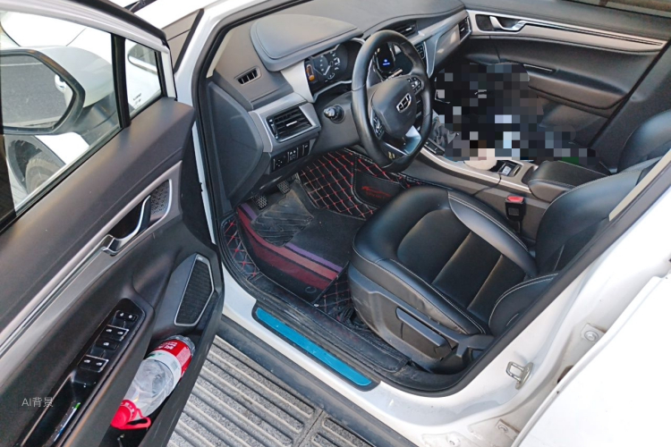 GEELY Emgrand GS 2019 immagine di auto #18
