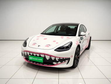 Tesla Model 3 2022 car image 