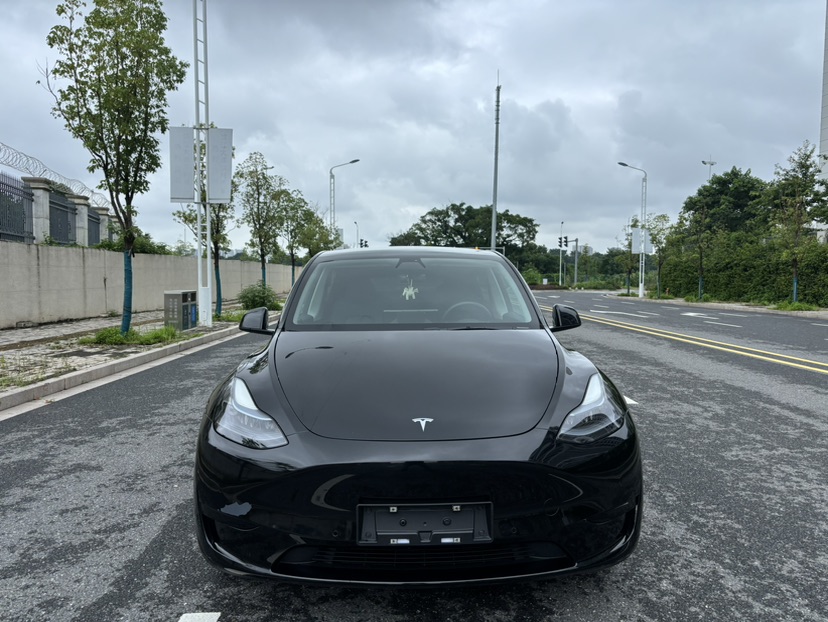 Tesla Model Y 2022 #2 Tesla Model Y 2022 car image #2