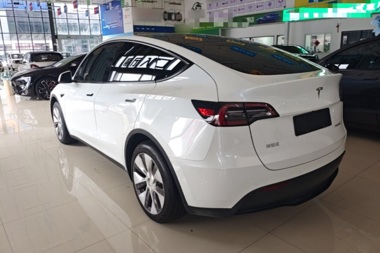 Tesla Model Y 2022 car image #7