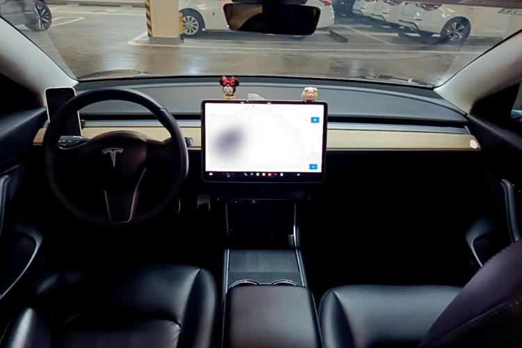 Tesla Model 3 2020 #10 Tesla Model 3 2020 car image #10