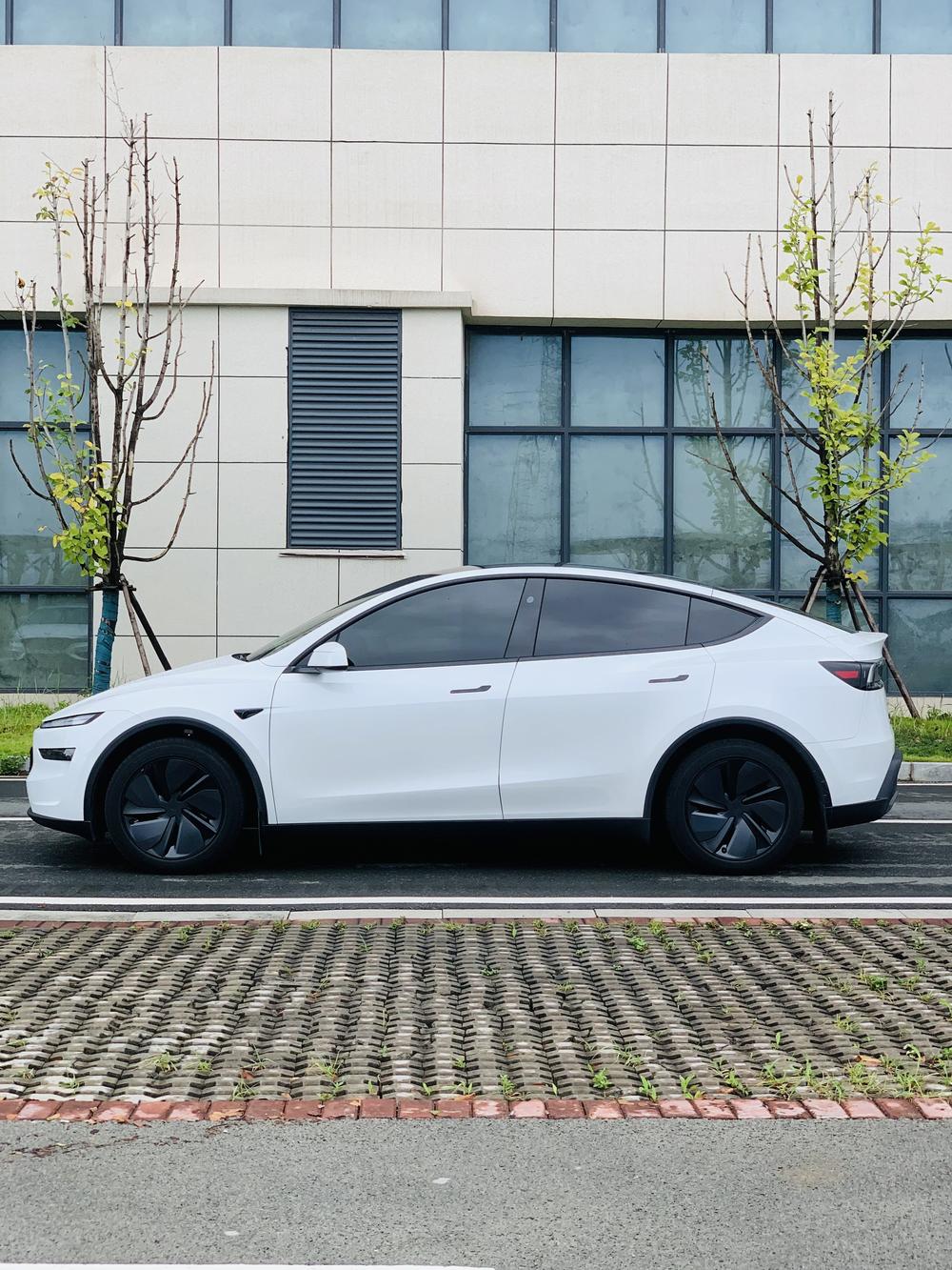Tesla Model Y 2026 #4 Tesla Model Y 2026 car image #4