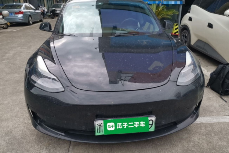 Tesla Model 3 2021 immagine di auto #3