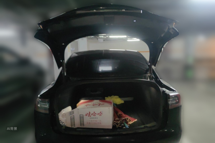Tesla Model 3 2021 car image #21