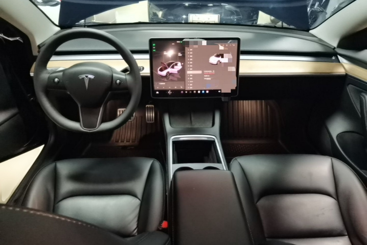 Tesla Model 3 2022 immagine di auto #10