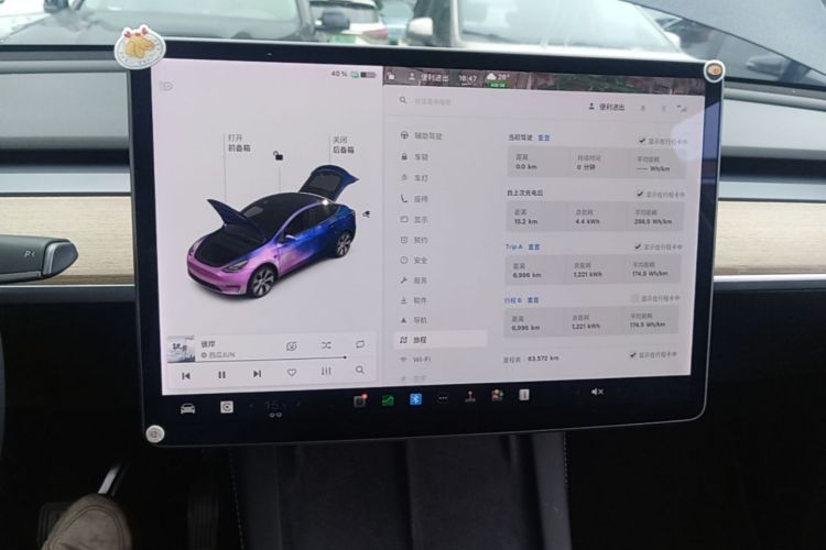 Tesla Model Y 2021 car image #13
