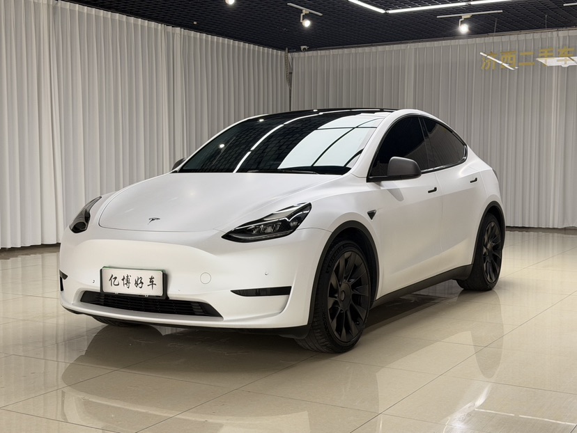 Tesla Model Y 2022 car image 