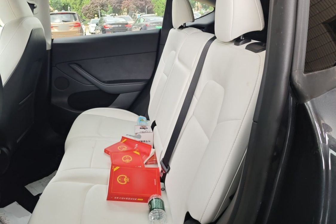 Tesla Model Y 2024 car image #22