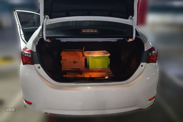Toyota Corolla 2018 car image #21