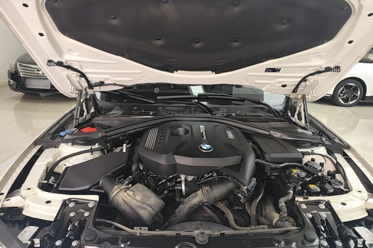 BMW 3 Series 2018 car image #20