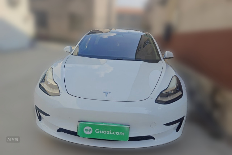 Tesla Model 3 2020 #3 Tesla Model 3 2020 car image #3