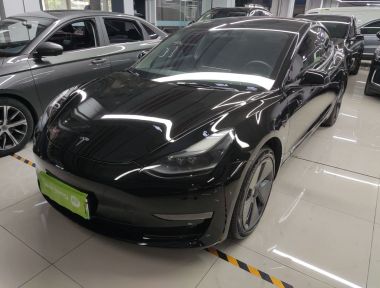 Tesla Model 3 2021 car image 