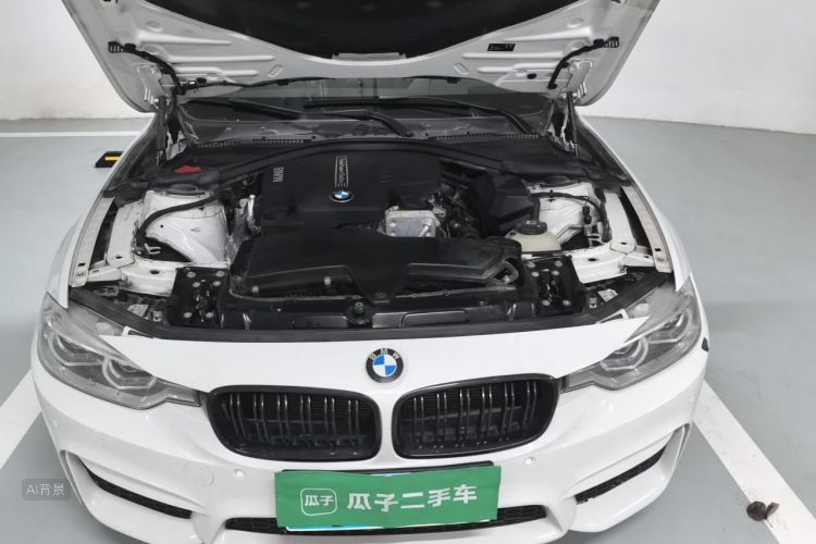BMW 3 Series 2016 car image #22