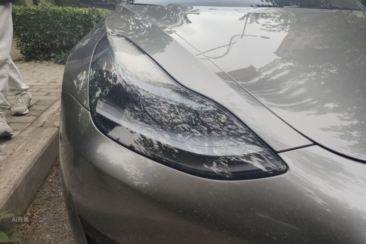 Tesla Model 3 2023 immagine di auto #8