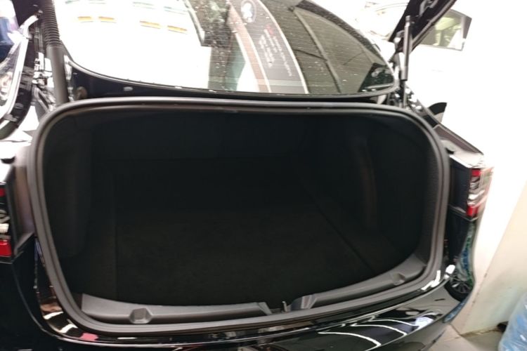 Tesla Model 3 2021 #19 Tesla Model 3 2021 immagine di auto #19