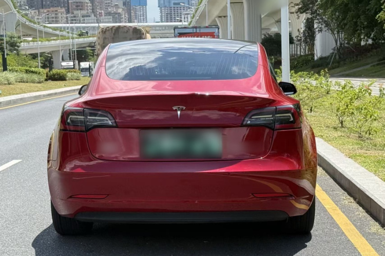Tesla Model 3 2020 #4 Tesla Model 3 2020 car image #4