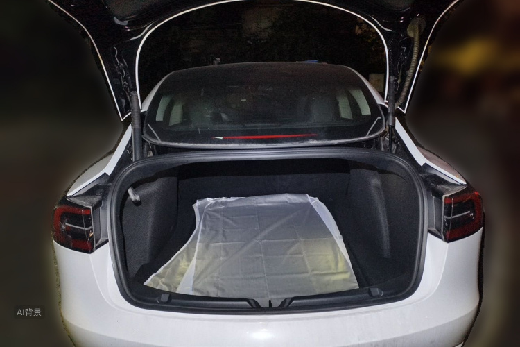 Tesla Model 3 2022 #21 Tesla Model 3 2022 immagine di auto #21