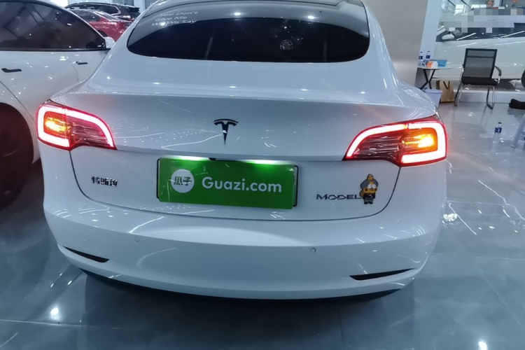 Tesla Model 3 2020 car image #6