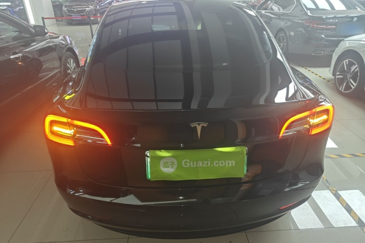 Tesla Model 3 2022 immagine di auto #6