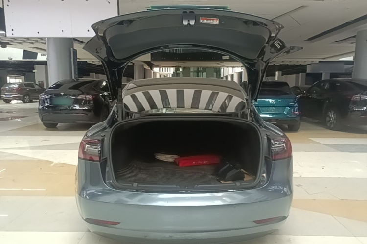 Tesla Model 3 2023 immagine di auto #19