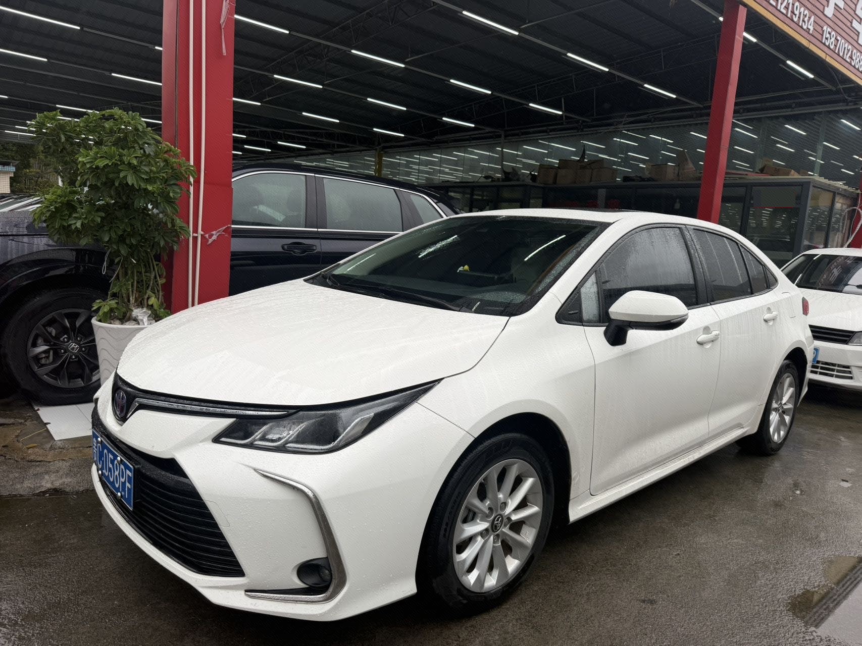Toyota Corolla 2021 Toyota Corolla 2021 immagine di auto