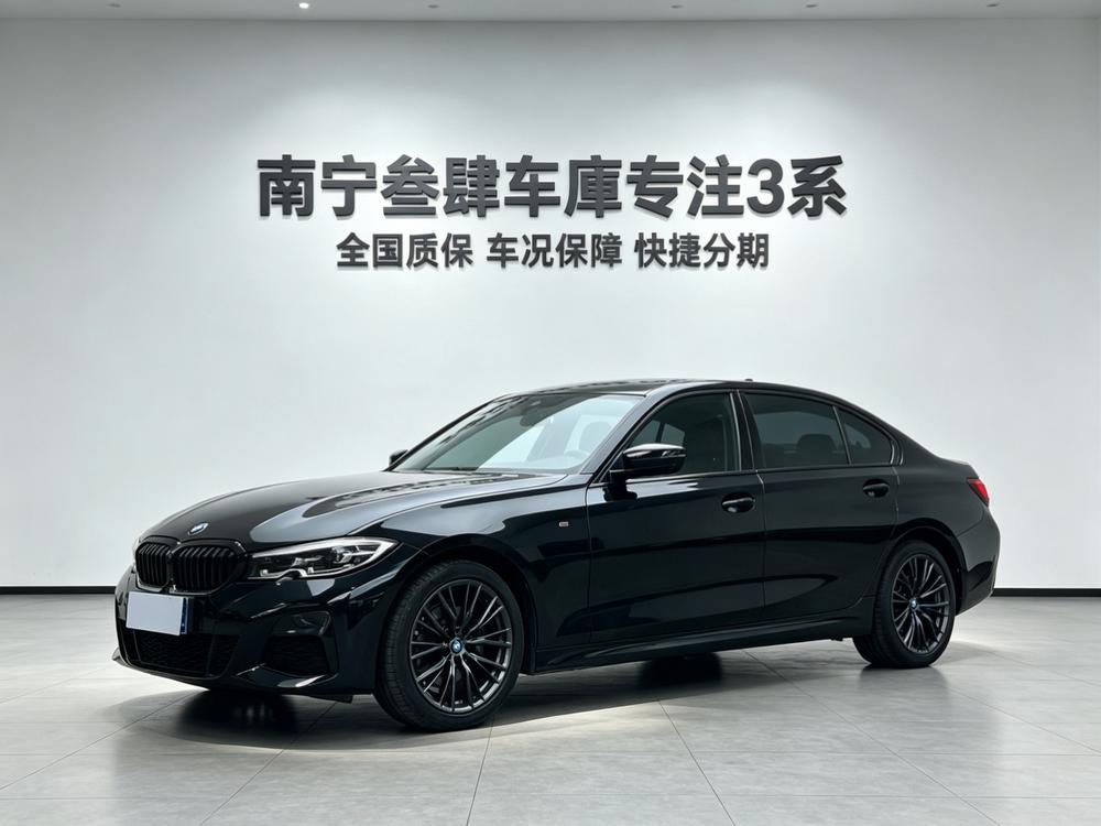 BMW 3 Series 2019 car image 