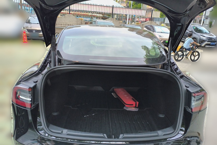 Tesla Model 3 2022 car image #17