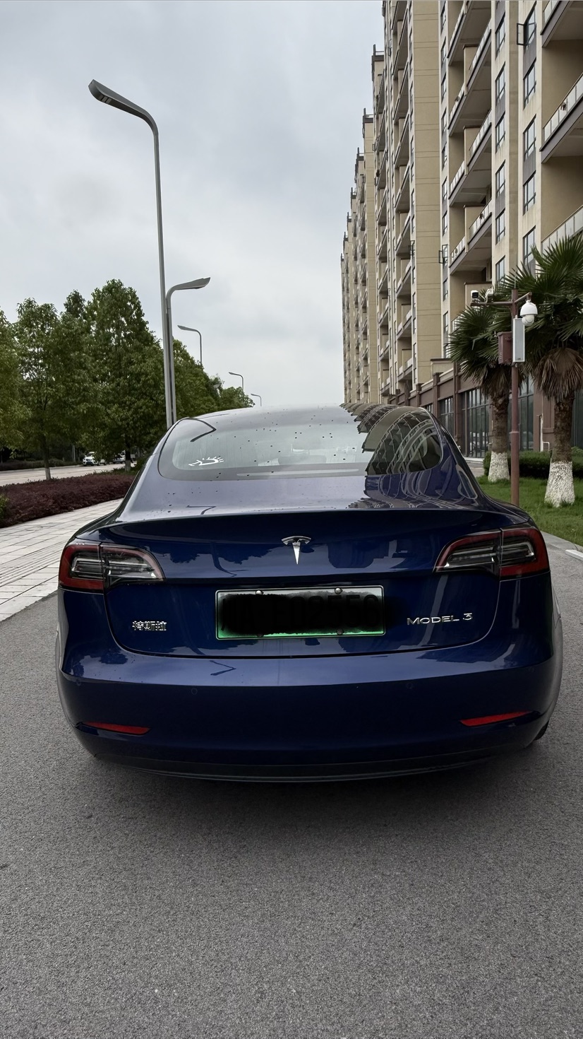 Tesla Model 3 2020 #8 Tesla Model 3 2020 car image #8