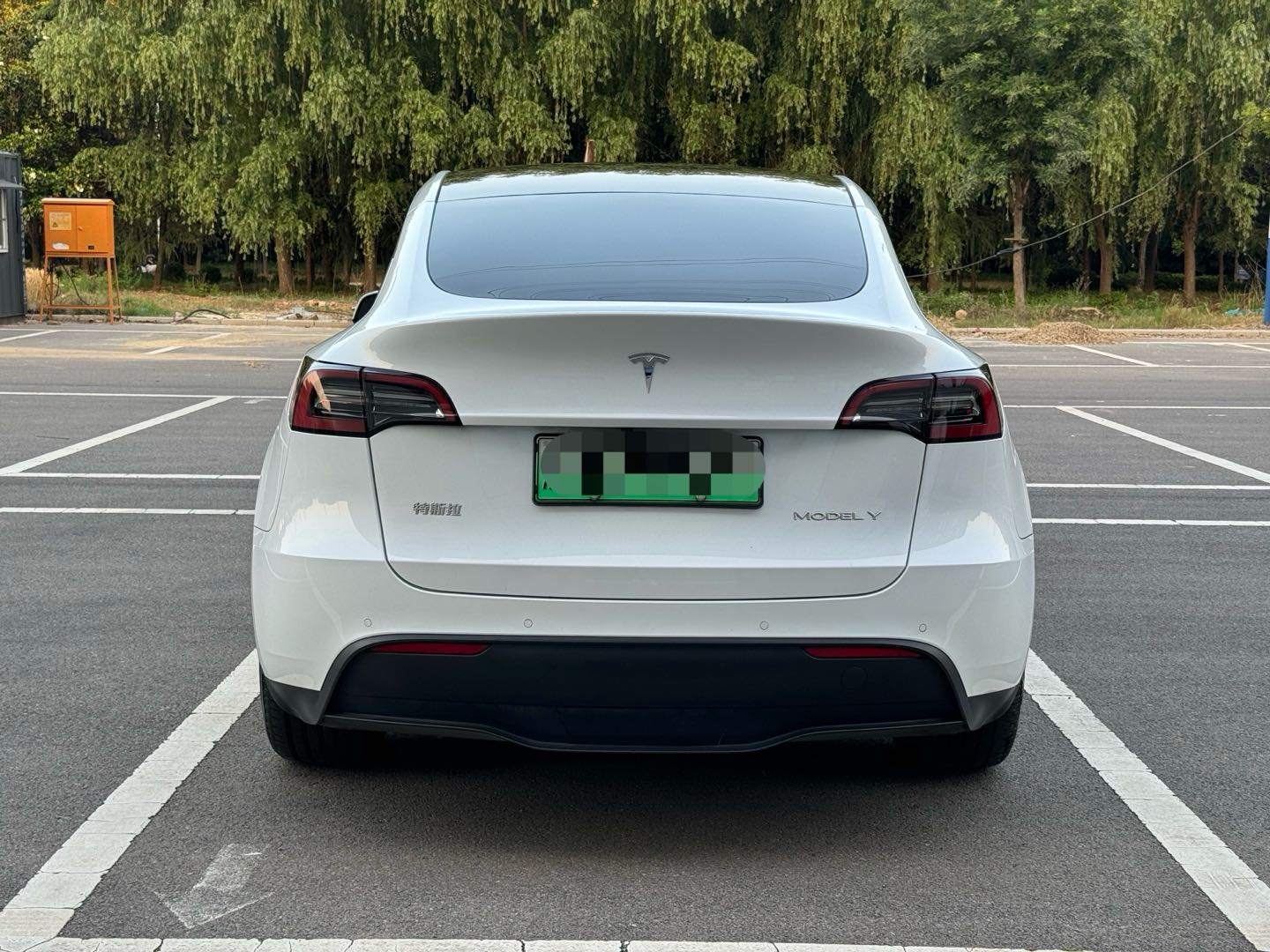 Tesla Model Y 2023 #7 Tesla Model Y 2023 car image #7