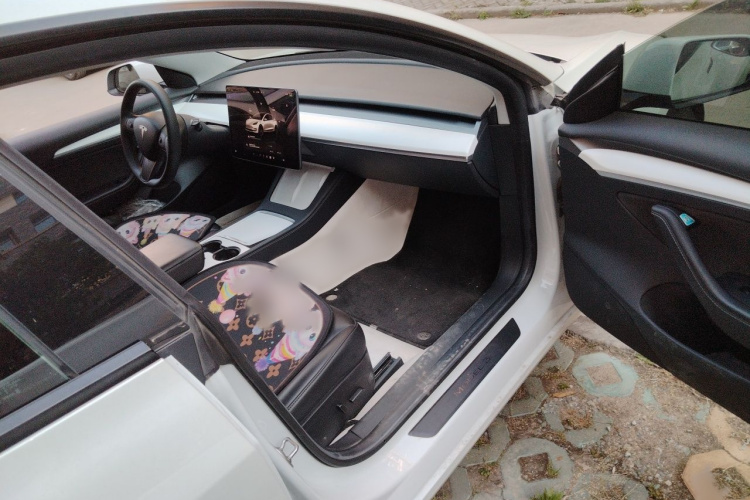 Tesla Model 3 2021 #24 Tesla Model 3 2021 car image #24