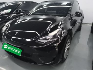 Tesla Model Y 2023 car image 