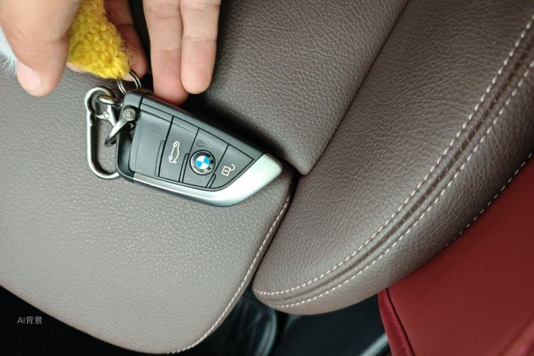 BMW X1 2020 car image #10