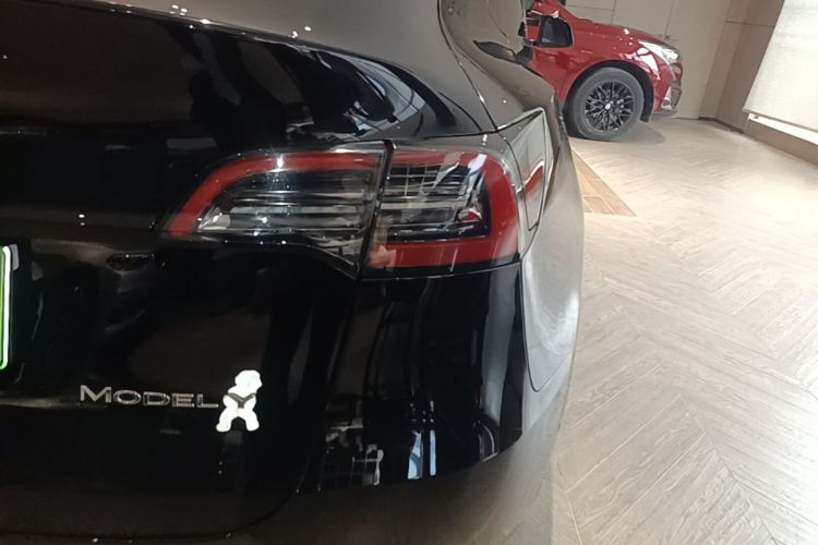 Tesla Model Y 2023 #8 Tesla Model Y 2023 car image #8