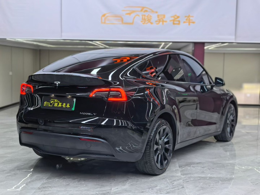 Tesla Model Y 2021 car image #4