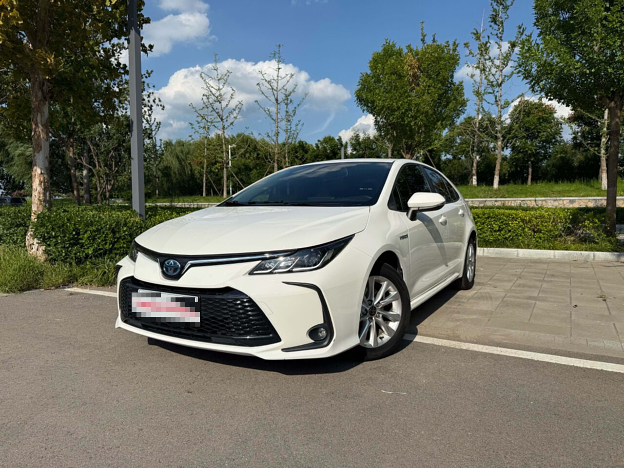 Toyota Corolla 2023 #7 Toyota Corolla 2023 car image #7
