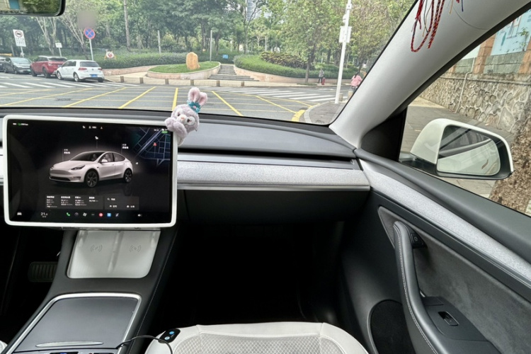 Tesla Model Y 2024 #16 Tesla Model Y 2024 car image #16