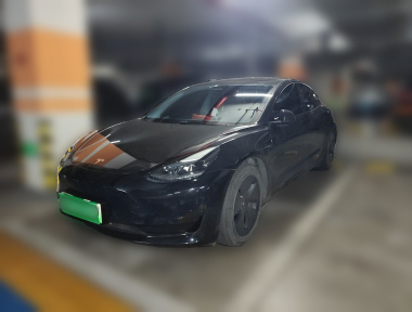 Tesla Model 3 2022 car image 