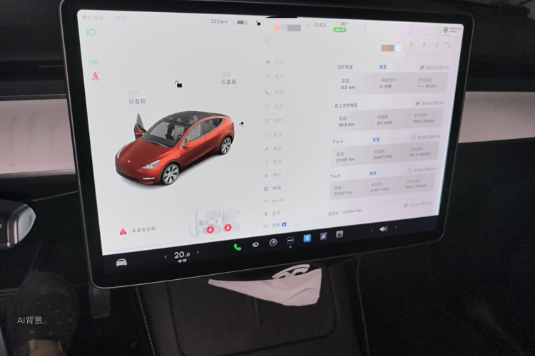 Tesla Model Y 2021 #15 Tesla Model Y 2021 car image #15